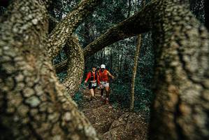 BIB: 
                            <button type="button" onclick="openModal(25703288)" class="btn btn-primary btn-sm float-right btn-popup" data-toggle="modal" data-target=".modal-high-quality">
                        <i class="fas fa-shopping-cart"></i> Add to Cart
                    </button>
                                            <button type="button" onclick="isThisMe(25703288, true)" class="btn btn-success btn-sm float-right btn-popup btn-isme hidden" data-toggle="tooltip" data-placement="bottom" title="นี่คือรูปของคุณใช่ไหม คลิกที่นี่เพื่อเอาเข้าอัลบั้ม">
                        <i class="fas fa-plus"></i> Add to album
                    </button>
                    <button type="button" onclick="isThisMe(25703288, false)" class="btn btn-warning btn-sm float-right btn-popup btn-isnotme hidden">
                        <i class="fas fa-ban"></i> Remove from album
                    </button>